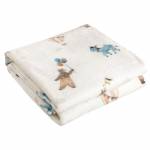 8879 ΚΟΥΒΕΡΤΑ FLEECE 110X150 ΒΑΒΥ / GREENWICH POLO CLUB Baby 8879 ΚΟΥΒΕΡΤΑ FLEECE 110X150 ΒΑΒΥ / GREENWICH POLO CLUB Baby