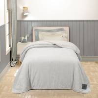 4020 ΚΟΥΒΕΡΤΑ FLEECE 160X240 / GREENWICH POLO CLUB