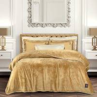 4441 ΚΟΥΒΕΡΤΑ FLEECE 170X240 / GREENWICH POLO CLUB