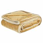 4441 ΚΟΥΒΕΡΤΑ FLEECE 170X240 / GREENWICH POLO CLUB