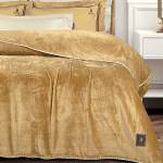4441 ΚΟΥΒΕΡΤΑ FLEECE 220X240 / GREENWICH POLO CLUB