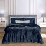 4442 ΚΟΥΒΕΡΤΑ FLEECE 220X240 / GREENWICH POLO CLUB 4442 ΚΟΥΒΕΡΤΑ FLEECE 220X240 / GREENWICH POLO CLUB