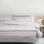 5440 ΣΕΤ ΣΕΝΤΟΝΙΑ ΜΟΝΑ ΜΕ ΛΑΣΤΙΧΟ CASUAL / DAS HOME