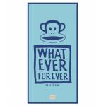 DIMITRI 04 ΠΑΠΛΩΜΑΤΟΘΗΚΗ ΥΠΕΡΔΙΠΛΗ ΣΕΤ 3 ΤΕΜ / ΚΕΝΤΙΑ