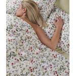 DIMITRI 04 ΠΑΠΛΩΜΑΤΟΘΗΚΗ ΥΠΕΡΔΙΠΛΗ ΣΕΤ 3 ΤΕΜ / ΚΕΝΤΙΑ