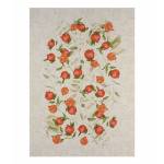 DIMITRI 04 ΠΑΠΛΩΜΑΤΟΘΗΚΗ ΥΠΕΡΔΙΠΛΗ ΣΕΤ 3 ΤΕΜ / ΚΕΝΤΙΑ