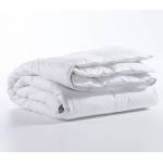 ΠΑΠΛΩΜΑ MICROFIBER 240Χ220 / NEF-NEF