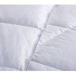 ΠΑΠΛΩΜΑ MICROFIBER 240Χ260 / NEF-NEF ΠΑΠΛΩΜΑ MICROFIBER 240Χ260 / NEF-NEF