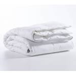 ΠΑΠΛΩΜΑ MICROFIBER 240Χ260 / NEF-NEF ΠΑΠΛΩΜΑ MICROFIBER 240Χ260 / NEF-NEF