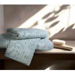 ΠΕΤΣΕΤΑ ΧΕΡΙΩΝ DARWIN 30Χ50 / NEF-NEF HOMEWARE